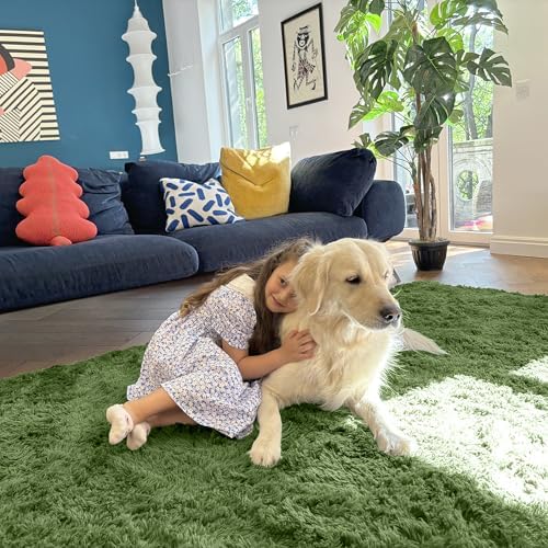 OLANLY Area Rugs for Living Room Bedroom, Machine Washable 4x5.9 ft Soft Fluffy Shaggy Bedside Rug, Indoor Floor Carpet for Kids Girls and Boys, Dorms, Nursery Rooms, Home Decor Aesthetic, Green - Image 5