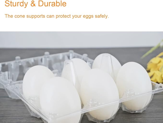 Egg Cartons 60 Packs, Clear Eco-friendly Plastic Blank Egg Cartons with Free Labels, Holds up to 6 Duck Eggs Securely, Perfect for Family Pasture Farm Markets Display - Large