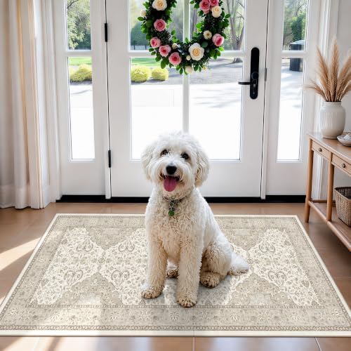 HY HAOYUNLAI 2x4 Washable Entryway Area Rug Soft Non-Slip Slim Kitchen Mat by HYHAOYUNLAI