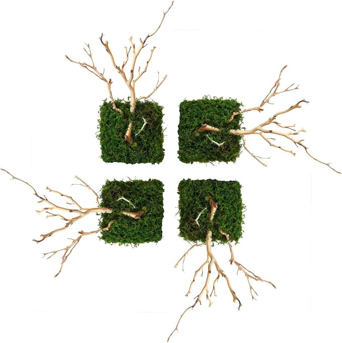 Kahee's Plants Natural Manzanita Jewelry Holder - Wall Hanging Organizer for Jewelries and Home Decor Moss Art (Sandblasted White)
