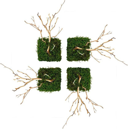 Kahee's Plants Natural Manzanita Jewelry Holder - Wall Hanging Organizer for Jewelries and Home Decor Moss Art (Sandblasted White)