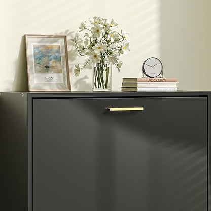 JOZZBY Shoe Cabinet Storage for Entryway, Freestanding Narrow Slim Shoe Organizer Cabinet with 2 Flip Drawers, Wooden Shoe Rack for Hallway, Living Room, Black1