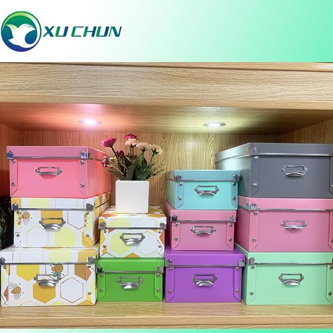 XUCHUN Foldable Plastic Storage Boxes with Lids - Decorative Organizer for Clothes, Shoes, Office & Keepsakes | Multi-Size Nesting Design, Space-Saving Memory Box