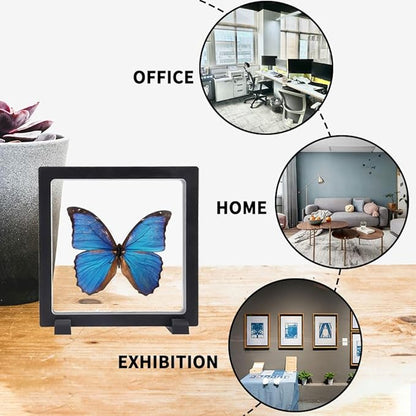 6 PCS 3D Floating Display Case with stand, Seashell Holder Frame Coins Floating Display Stand Transparent Jewelry Storage Box for Dollar Bill Fossils Stamps Bracelet (5.5x 5.5 x 0.8 Inch)