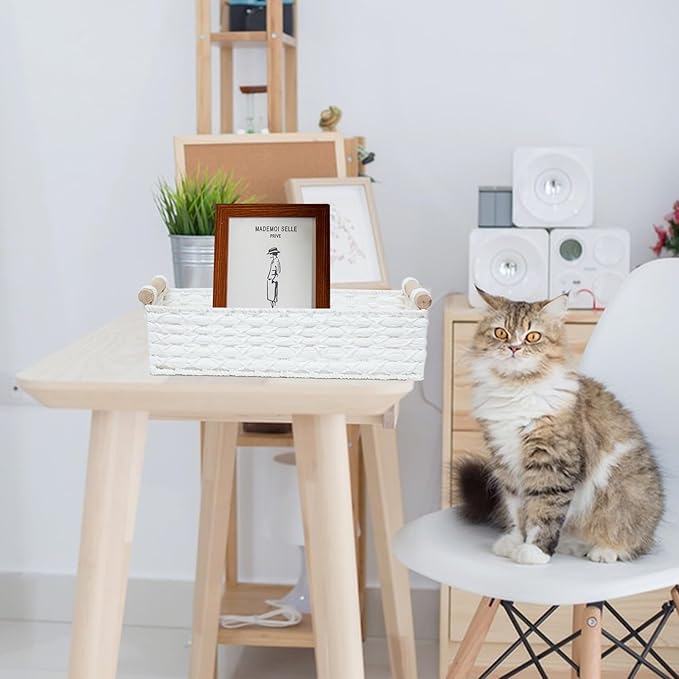 Small Storage Basket Wicker Baskets for Organizing with Handle Decorative Storage Bins for Countertop Toilet Paper Basket for Toilet Tank Top Small Baskets Set,White
