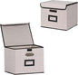 Large Square Storage Bin with Lid, Foldable Organizer Box with Handles & Label Design, for Office, Closet, Home, Documents, Grey, 12.20 x 10.63 x 10.63 Inches, 2 Pack