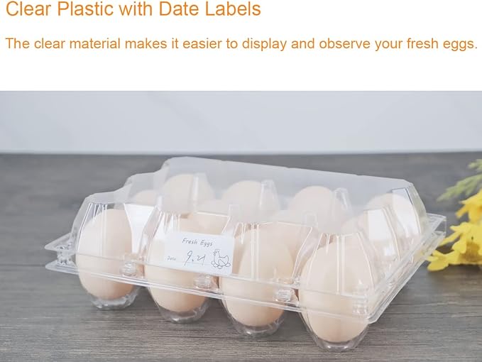 Egg Cartons 60 Packs, Clear Plastic Blank Egg Cartons with Free Labels, Holds up to 12 Eggs Securely, Perfect for Family Pasture Farm Markets Display - Medium