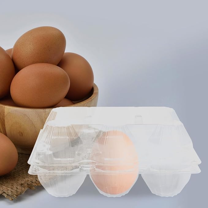 DOITOOL 6 Pcs Goose Egg Cartons 6 Count Plastic Duck Egg Cartons Bulk Empty Containers for Refrigerator Chicken Farm Markets Display