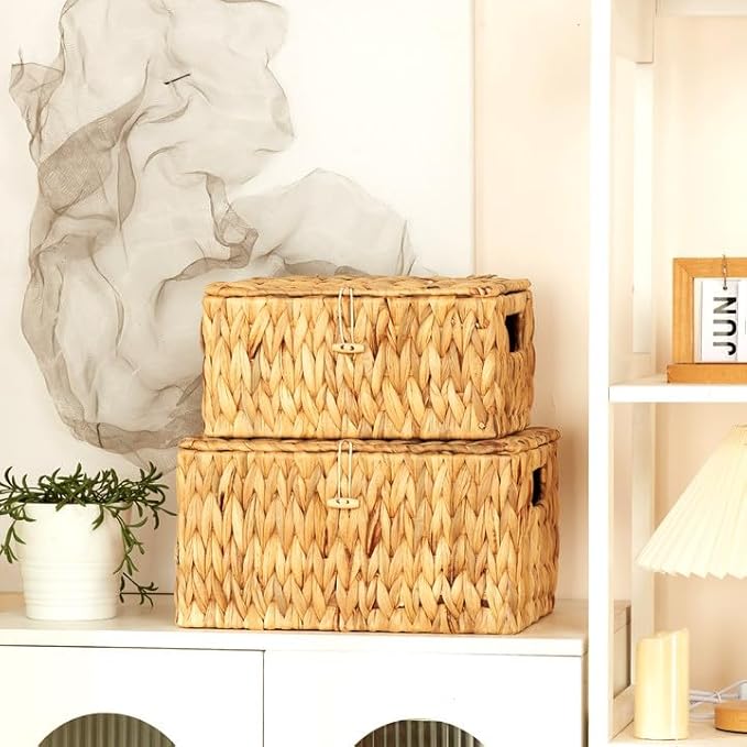 Edergoo Wicker Basket with Lid, Water Hyacinth Storage Baskets for Shelves, Large & Small Storage Basket with Lid and Built-in Handles, Hand Woven Hyacinth Baskets 2 Pack