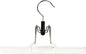 Mawa by Reston Lloyd Non-Slip Space-Saving Clothes Hanger with Clamp for Pants and Skirts, Style M/26, 1-Piece, White