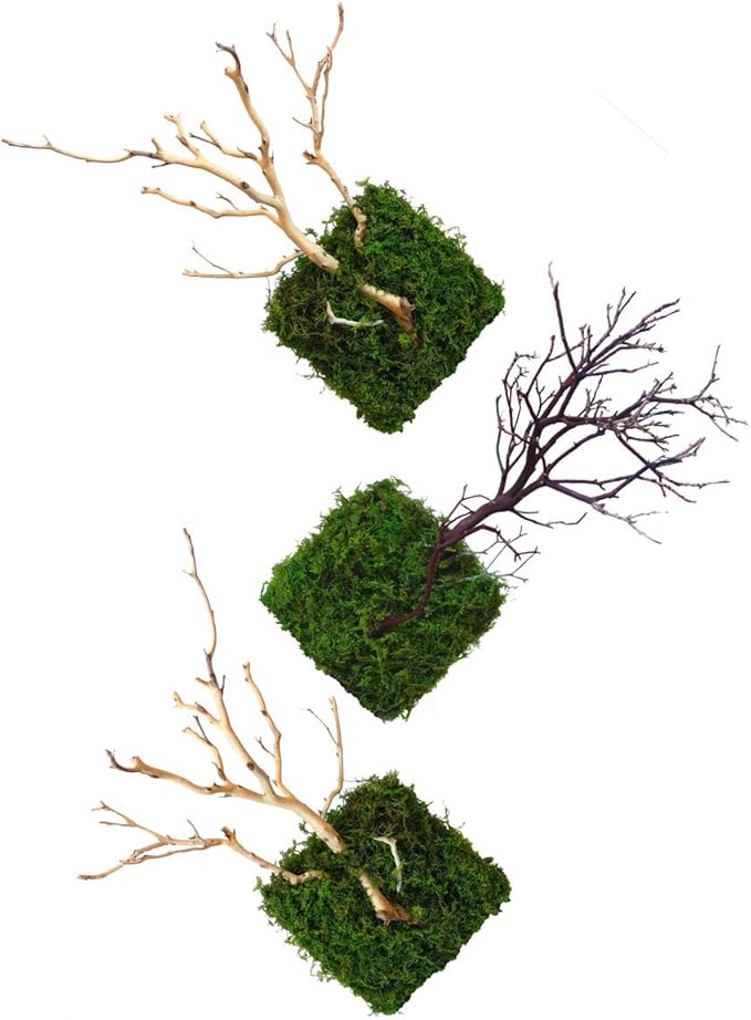 Kahee's Plants Natural Manzanita Jewelry Holder - Wall Hanging Organizer for Jewelries and Home Decor Moss Art (Natural Brown)