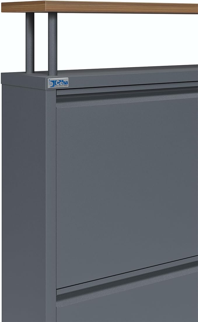 CEHA 4 Tier Metal Shoe Cabinet with Cover and Shelf, Durable Shoe Storage Organizer for Entryway, Space Saving Shoe Shelf Closet, 5.91" x 39.3" x 32.4", Anthracite