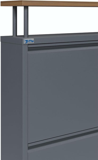 CEHA 4 Tier Metal Shoe Cabinet with Cover and Shelf, Durable Shoe Storage Organizer for Entryway, Space Saving Shoe Shelf Closet, 5.91" x 39.3" x 32.4", Anthracite