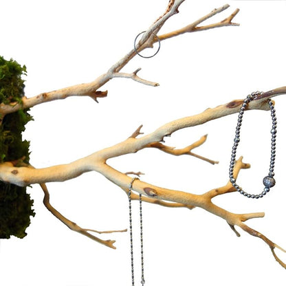 Kahee's Plants Natural Manzanita Jewelry Holder - Wall Hanging Organizer for Jewelries and Home Decor Moss Art (Sandblasted White)