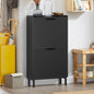 Haotian Slim Shoe Cabinet Entryway, Hidden Shoe Storage with Two Flip Drawers to Save Space, Freestanding Shoe Rack for Front Door, Entryway, Hallway (Black)