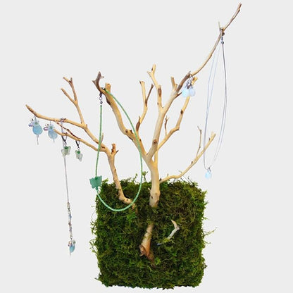 Kahee's Plants Natural Manzanita Jewelry Holder - Wall Hanging Organizer for Jewelries and Home Decor Moss Art (Sandblasted White)