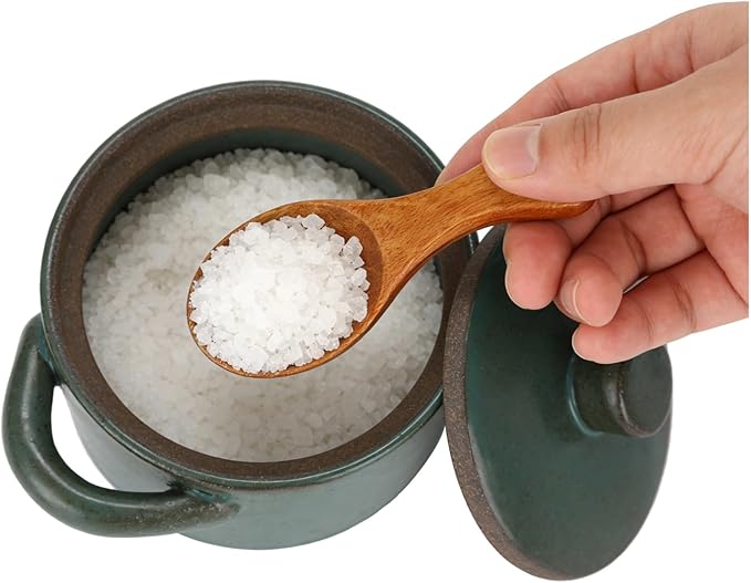 ZALIR Ceramic Salt Cellar with Lid and Wooden Spoon, Rough Pottery Seasoning Pot, 4.3 x 3.5 x 2.4 in Kitchen Jar, Rustic Spice Bowl for Sugar, Salt, Spices