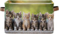 Large Storage Basket Cats Cute Kitten Storage Bin Cube Canvas Fabric Organizer Handles Collapsible for Clothes Toys Bedroom Decorative