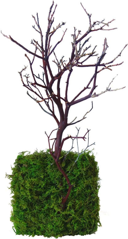 Kahee's Plants Natural Manzanita Jewelry Holder - Wall Hanging Organizer for Jewelries and Home Decor Moss Art (Natural Brown)