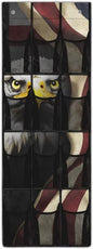 12 Pockets Over The Door Shoe Organizer American Flag Door Hanger Organizer for Office Eagle Wall Hanging Storage Space Saving American Flag Shoe Holder Hanger for Dorm