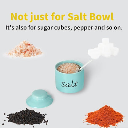 ONTUBE Farmhouse 8oz Salt Bowls with Lid and Spoon, Ceramics Condiment Pots, Seasoning Jar Spice Container for Kitchen, Dishwasher Safe (Turquoise)