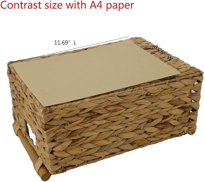 Storage Basket made by Water Hyacinth with Wood Handles, Arts and Crafts. (Large) Natural