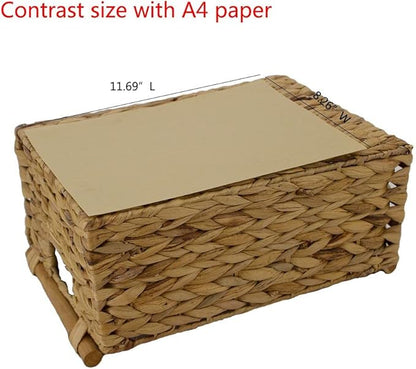 Storage Basket made by Water Hyacinth with Wood Handles, Arts and Crafts. (Large) Natural