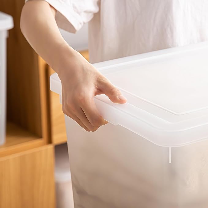 Stackable Plastic Storage Bins with Lids,Container to Organize Shoes and Crafts on Closet Shelves,Garage, Totes, Tubs Boxes Organizing 4 Pack (N-4XXL)