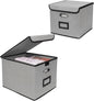 File Storage Box with Lid, 15.55x12.87x10.43 Inches, Foldable Organizer with Handles & Label Slot, for File Storage, Home, Office, and Closet Organization(2 Packs, Grey)