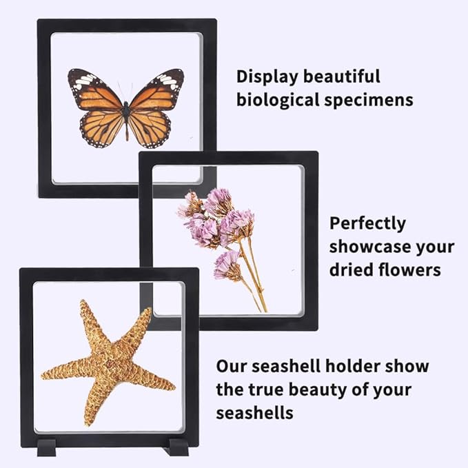 6 PCS 3D Floating Display Case with stand, Seashell Holder Frame Coins Floating Display Stand Transparent Jewelry Storage Box for Dollar Bill Fossils Stamps Bracelet (5.5x 5.5 x 0.8 Inch)