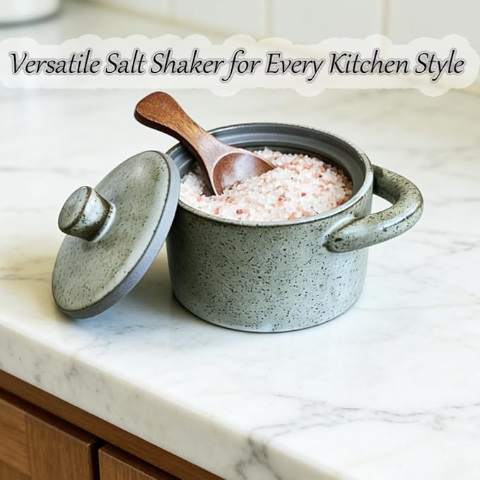 Ceramic Salt Cellar With Lid & Spoon,8oz Salt Container For Countertop,Sugar Bowl,Spice Jar(Gray)