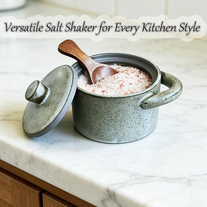 Ceramic Salt Cellar With Lid & Spoon,8oz Salt Container For Countertop,Sugar Bowl,Spice Jar(Gray)
