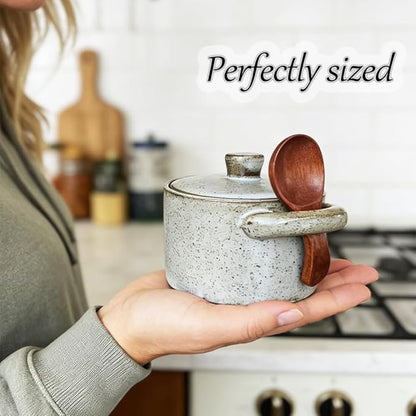 Ceramic Salt Cellar With Lid & Spoon,8oz Salt Container For Countertop,Sugar Bowl,Spice Jar(Gray)