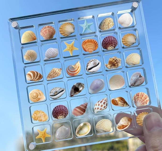 Acrylic Magnetic Seashell Display Box,Seashell Starfish Trinket Decorative, Multifunctional Gemstone Diamond Display Organizer Case for Seashell Jewelry Gemstone Beads (36 Grids)