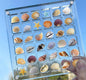 Acrylic Magnetic Seashell Display Box,Seashell Starfish Trinket Decorative, Multifunctional Gemstone Diamond Display Organizer Case for Seashell Jewelry Gemstone Beads (36 Grids)