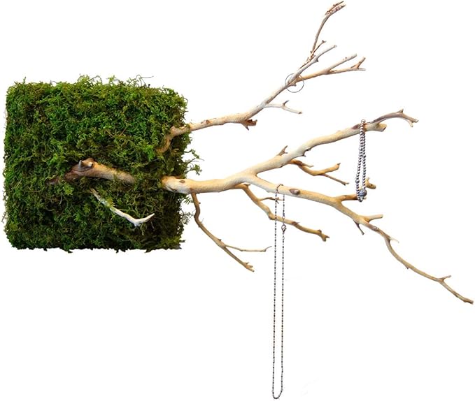 Kahee's Plants Natural Manzanita Jewelry Holder - Wall Hanging Organizer for Jewelries and Home Decor Moss Art (Sandblasted White)