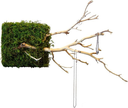 Kahee's Plants Natural Manzanita Jewelry Holder - Wall Hanging Organizer for Jewelries and Home Decor Moss Art (Sandblasted White)