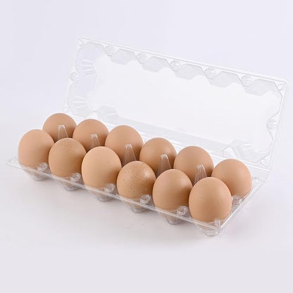 120 pc large clear plastic Egg Carton, can accommodate 2.5 ounces of eggs,12grid Eggs Carton Bulk , clear Large egg cartons ,It Can Hold 2.3 oz of eggs Perfect for Family, Farm, Markets..(2*6)