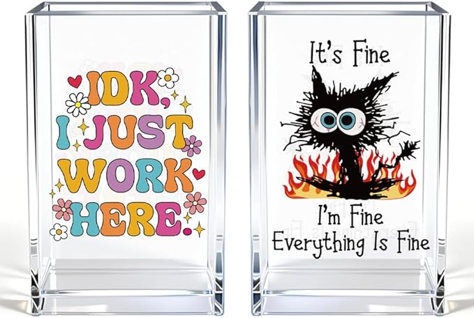Funny Black Cat Work 2 Pack Acrylic Cosmetic Pencil Pen Holder Cup, Cute Office Pen Holder for Desk, Funny Work Burnout Gifts for Coworker Friend, Office Sarcastic Gifts for Women Colleague Boss