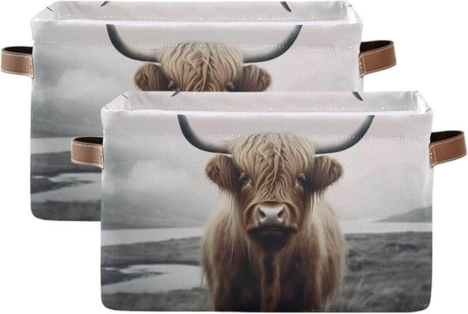 YETTASBIN Highland Cow Storage Basket 2pc, Large Collapsible Toys Clothes Organizer, Durable Canvas Storage Bin with Handle for Shelves Closet Laundry Home Office Decor