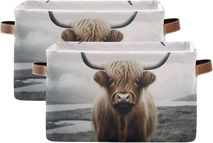 YETTASBIN Highland Cow Storage Basket 2pc, Large Collapsible Toys Clothes Organizer, Durable Canvas Storage Bin with Handle for Shelves Closet Laundry Home Office Decor