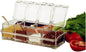 ParaCity Kitchen Gourmet Acrylic Seasoning Box with 4 Serving Spoons, Nice Design for Kitchen (Seasoning Box)