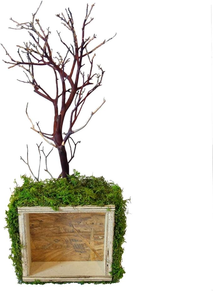 Kahee's Plants Natural Manzanita Jewelry Holder - Wall Hanging Organizer for Jewelries and Home Decor Moss Art (Natural Brown)