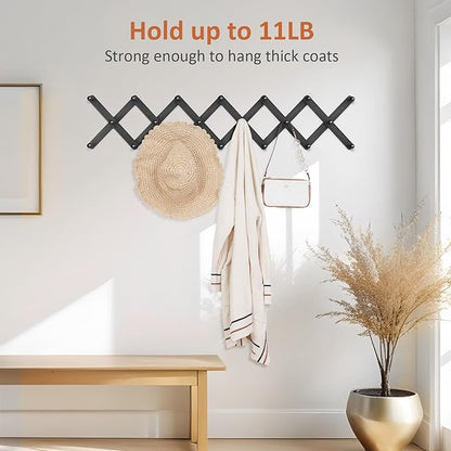 Accordion Wall Hanger, Hat Rack for Wall with 20 Coat Hooks, Expandable Hat Hangers Organizer, Vintage Decorative Coat Rack Wall Mount for Purse, Mug(Black)