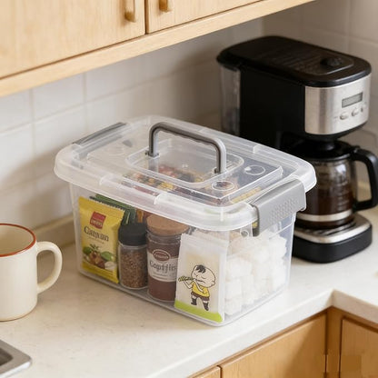 6-Pack Home Storage Bins, Plastic Container, Latching Box with Handle (Grey handle)