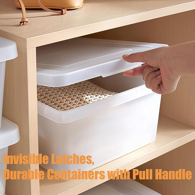 15 Quart Stackable Plastic Storage Bins with Lids,Container to Organize Shoes and Crafts on Closet Shelves,Garage, Totes, Tubs Boxes Organizing 2 Pack (N-2L)