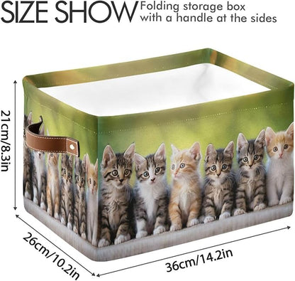Large Storage Basket Cats Cute Kitten Storage Bin Cube Canvas Fabric Organizer Handles Collapsible for Clothes Toys Bedroom Decorative