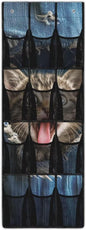 Jeans Cat 12-Pocket Sports Gear Organizer - Ventilated Mesh for Shoes, Water Bottles, Towels - Gym & Locker Room Storage
