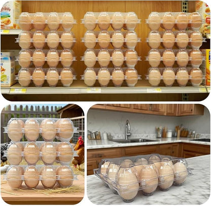 50-Pack of 12-Count Plastic Egg Cartons – Bulk Clear Reusable Egg Containers Holds Chicken Eggs | Egg Cartons Cheap Bulk, Eggs 12 Count,Suitable for farms, markets and families.