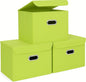 STOREONE Fabric Storage Cube Bins Foldable Organizer Container Collapsible Basket with Lids and Metal Handles, for Home, Bedroom, Closet 3 Pcs (multicolour-green)